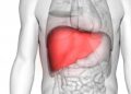 Some liver transplant recipients not at risk of Covid death: Study