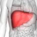 Some liver transplant recipients not at risk of Covid death: Study