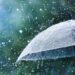 Country receives normal rainfall during June-Sept: IMD
