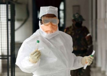 Flu pandemic still more deadly to humans than Covid