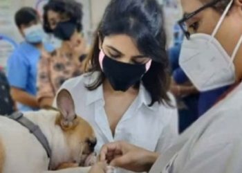 Modi launches Gati Shakti plan to boost infrastructure