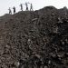 Supply to non-power sector regulated, not stopped: Coal India official