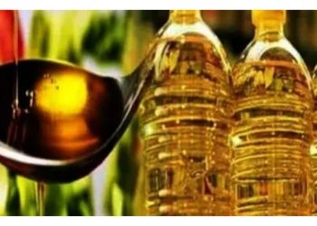 Elect full majority govt in Goa for ‘double-paced’ development: Amit Shah