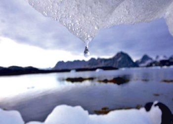 Antarctica was once a land of fire and not ice