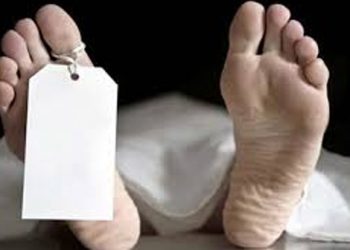 'Dark future': Cong blames Modi govt for 9.5 lakh suicides