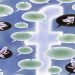 Evergreen bonds: The secret to great online communities
