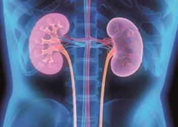 Increased temperatures contribute to more cases of kidney disease