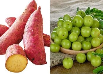 Must try these veggies during winter