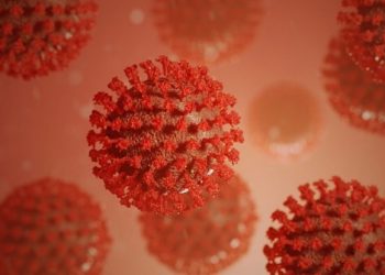 Do it in Parliament, guarantee MSP: Rakesh Tikait