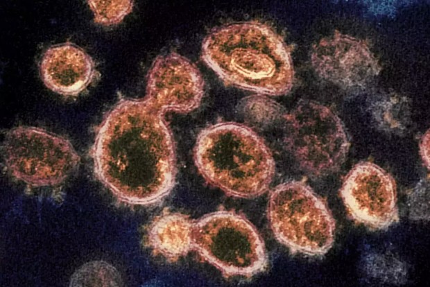 Scientists identify second HIV patient whose body likely rid itself of virus