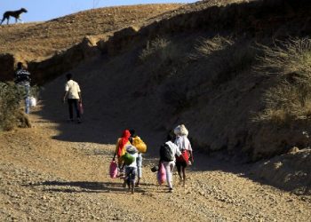 Ethiopia government says military won’t cross into Tigray for now