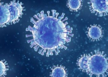 MSP panel: Govt seeks five names from farmers, SKM seeks more clarity