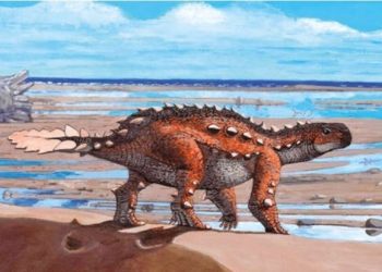 Maharashtra suspends Param Bir Singh