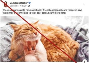 Over 125 crore Covid vaccine doses administered in India so far: Health Ministry