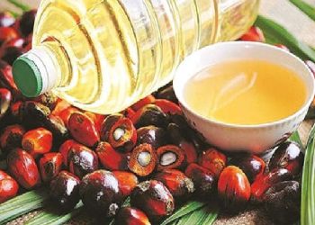 India’s palm oil imports fall 29 pc in December 2021: SEA