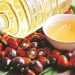 India’s palm oil imports fall 29 pc in December 2021: SEA