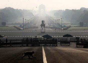 Weekend curfew starts, non-essential activities on hold for next 55 hrs in Delhi