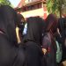 Hijab row: All India Bar Association writes to Modi, urges him to ensure that students wear only school uniform