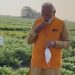 Modi eats Chana at Hyderabad field
