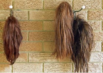 World Cancer Day: 100 wigs for cancer survivors from salon