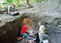 Human migration brought maize to Maya region, study finds