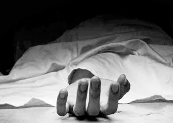 Pawan’s ex-wife Renu Desai rubbishes rumours related to their son Akira