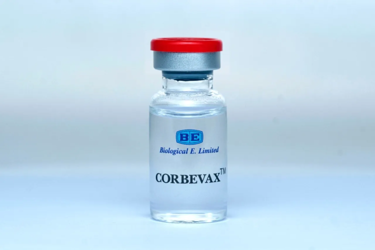 Corbevax gets EUA for children aged 5-12 years