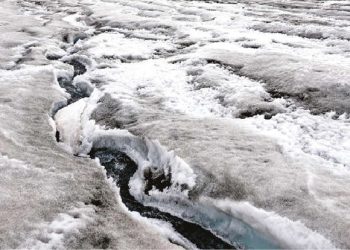 How to defeat Putin and save the planet