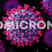 New versions of Omicron that may outpace BA.2 found