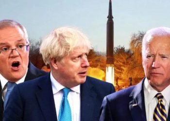 BJP has emerged as party of poor, Dalits and backwards: Nadda