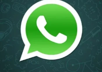 Pawan’s ex-wife Renu Desai rubbishes rumours related to their son Akira