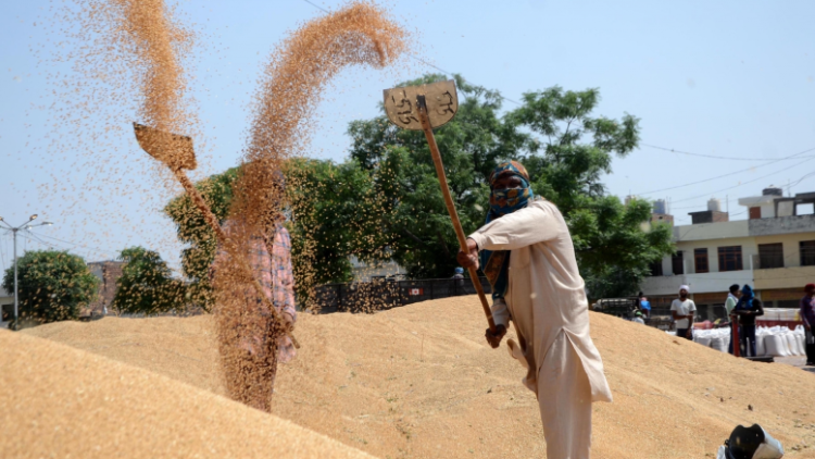 With record foodgrain production this year, govt sets higher targets
