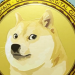 After Tesla, SpaceX to accept Dogecoin for merchandise soon