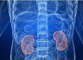 Can low-dose lithium help improve kidney health?