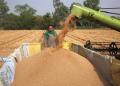Centre relaxes norms for wheat procurement in Punjab, Haryana