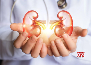 Scientists identify new liver and kidney disease