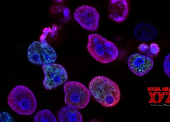 In a first, women-only crew operates flight in Saudi Arabia