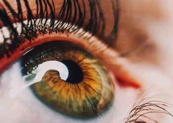 Vision scientists revive light-sensing cells in eyes of dead people