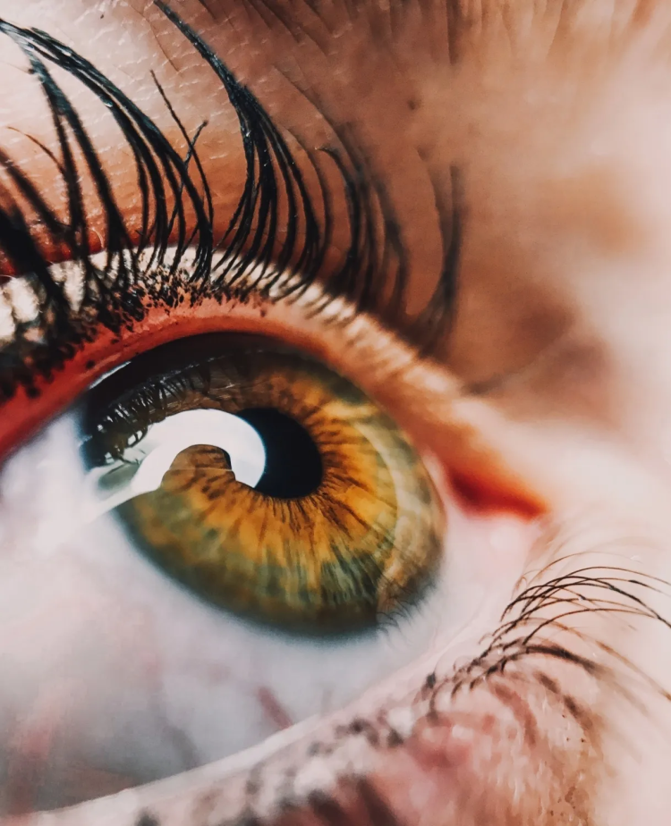 Vision scientists revive light-sensing cells in eyes of dead people