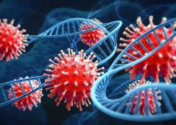 First cat to human Covid transmission documented