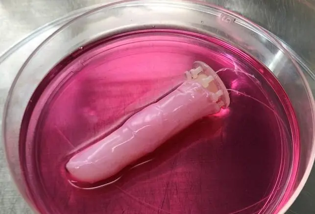 Scientists craft sweaty, self-healing living human skin for robots