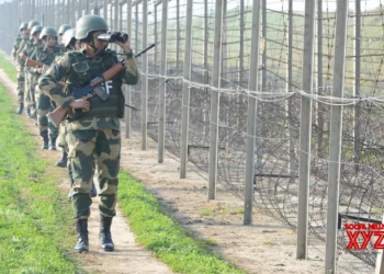 Suspicious movement detected by BSF along IB