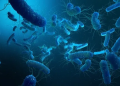 Typhoid bacteria increasingly resistant to essential antibiotics: Lancet