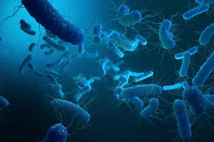 Typhoid bacteria increasingly resistant to essential antibiotics: Lancet