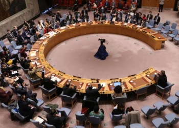 UN Security Council urges armed groups in DR Congo to lay down arms