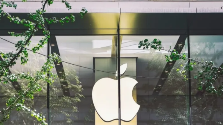 Apple’s music recognition feature can now sync its history with ‘Shazam’