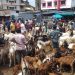 Assam bans illegal animal slaughtering on Eid