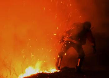 Wildfires evacuate 36,000 people in southwest France