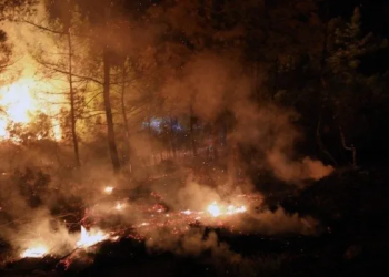 US: Wildfires in Utah scorching tens of thousands acres of land