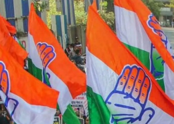 Congress yet to decide on dates to elect party President